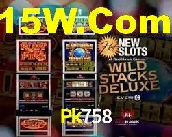 Exclusive Games Pk758